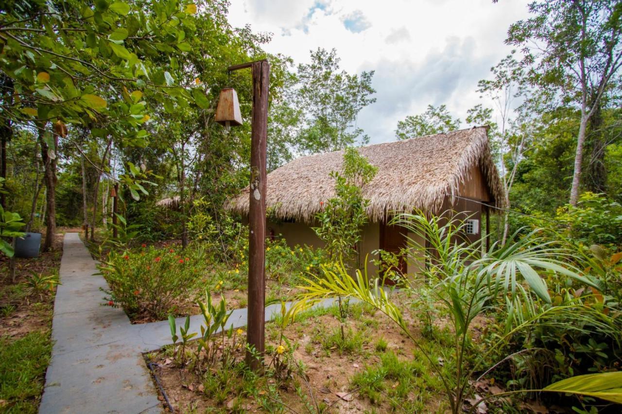 Careiro Amazon Turtle Lodge מראה חיצוני תמונה