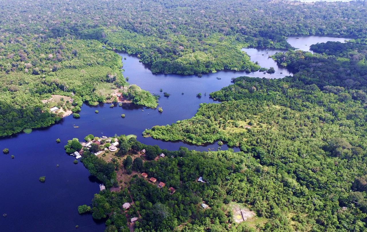 Careiro Amazon Turtle Lodge מראה חיצוני תמונה