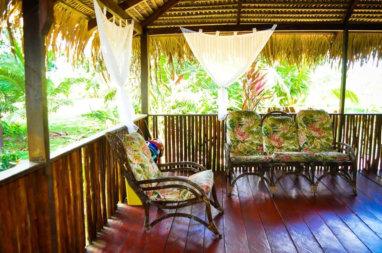 Careiro Amazon Turtle Lodge מראה חיצוני תמונה